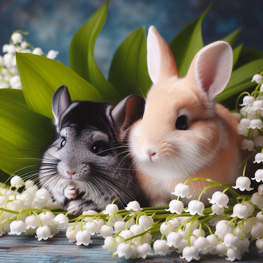 Muguet et NAC : Un Duo à Éviter Absolument !