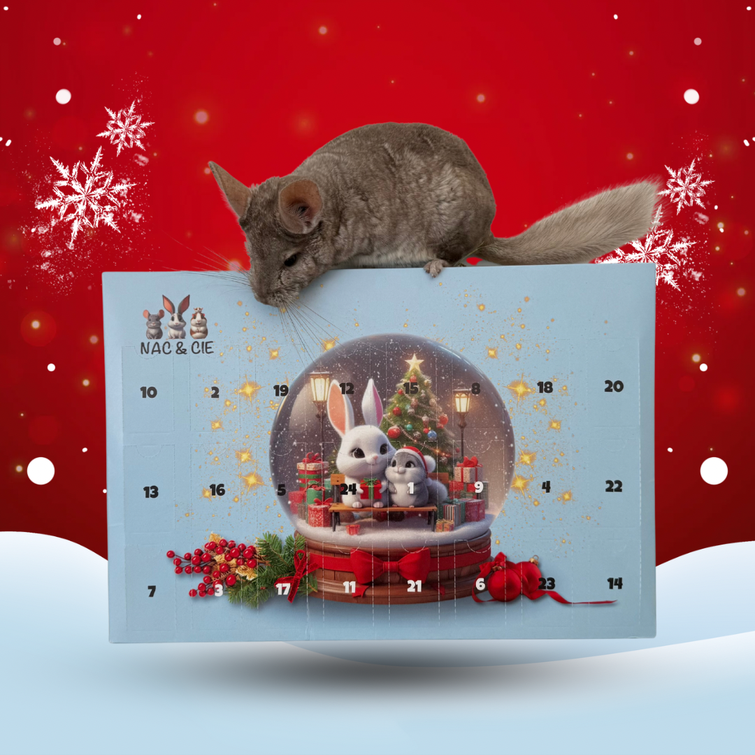 Calendrier de l'avent