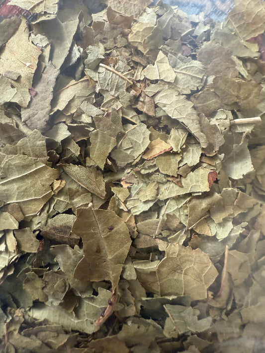 Feuilles de cerisier (Miettes)