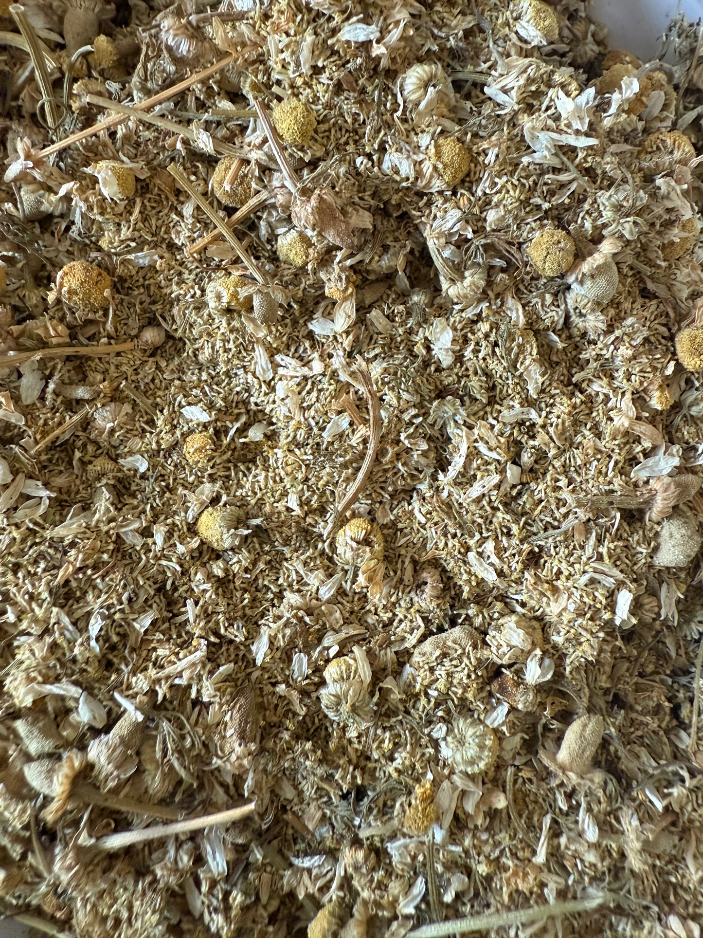 Camomille