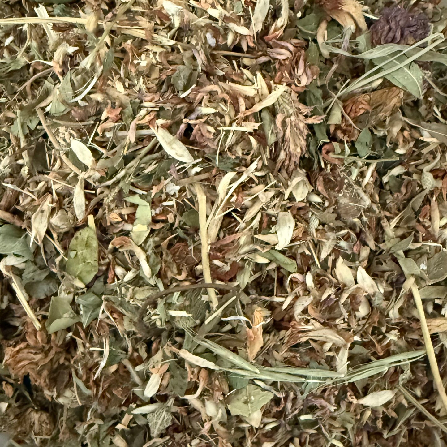 Fleurs de trèfles rouges