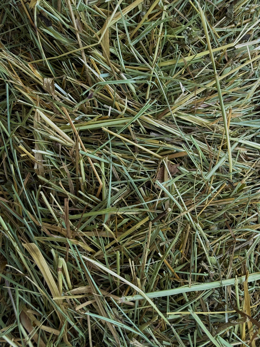 Foin de prairie naturelle