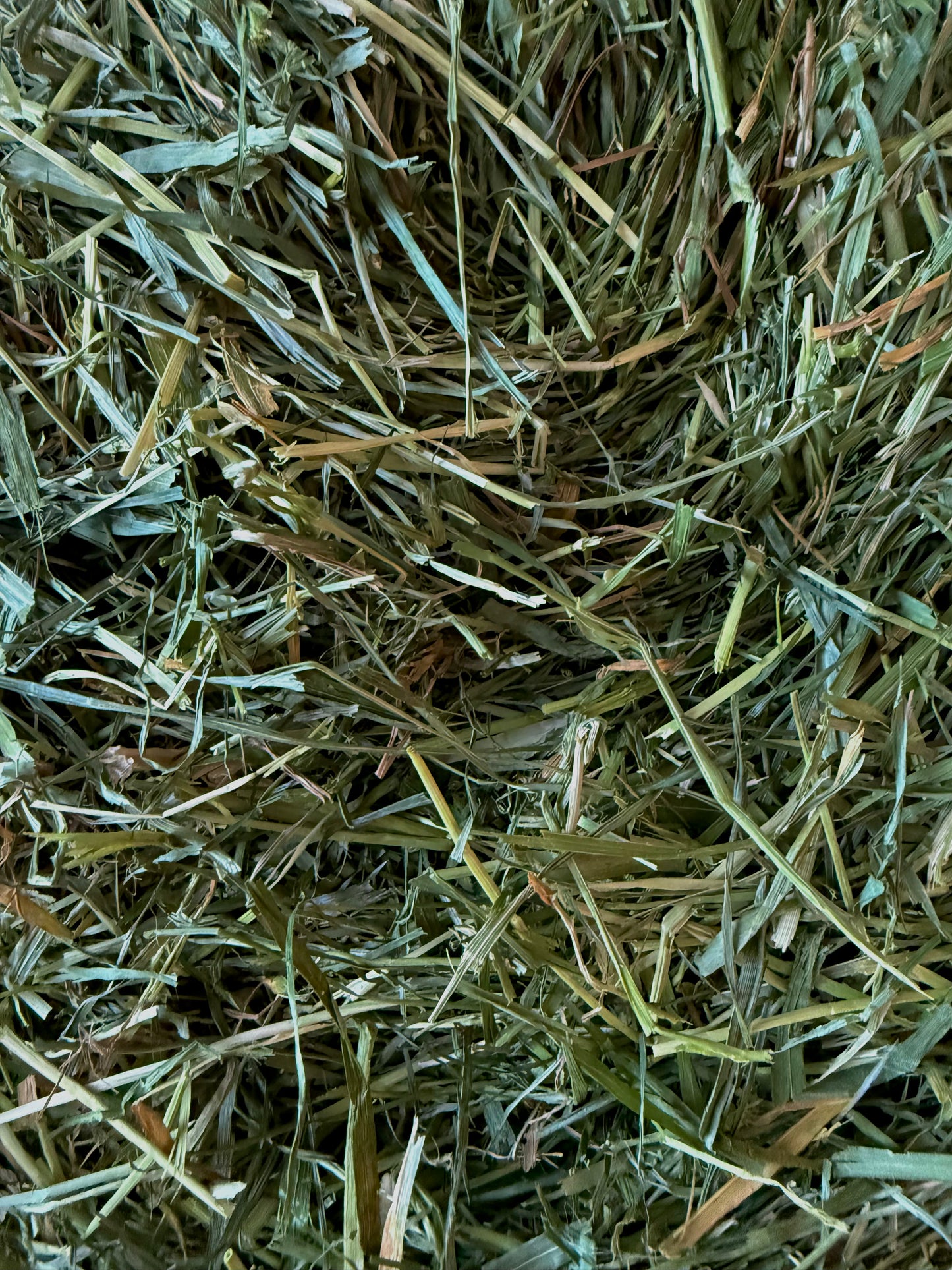 Foin douce prairie - Sans luzerne