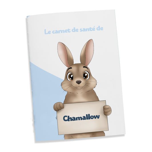 Carnet de santé