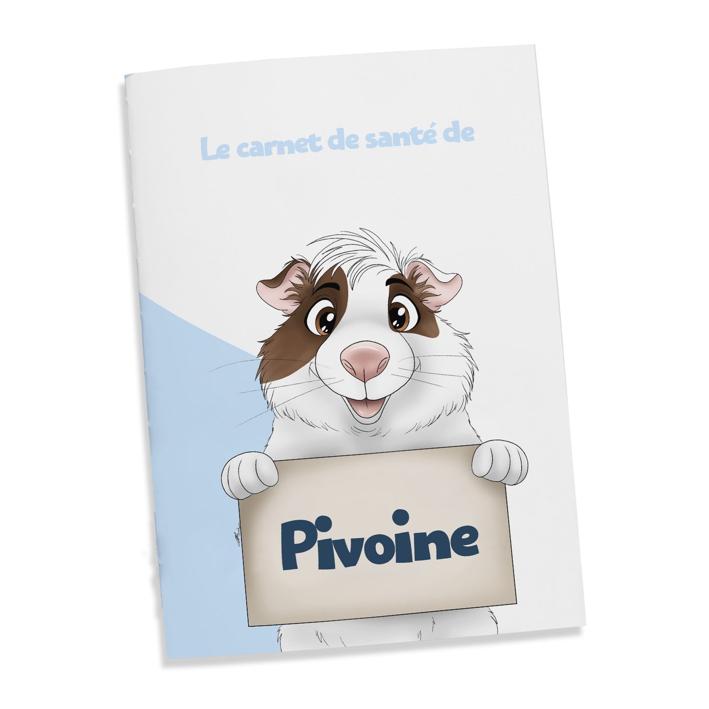 Carnet de santé