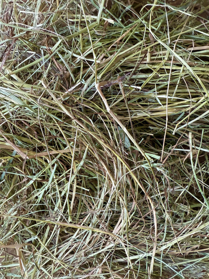 Foin de prairie naturelle